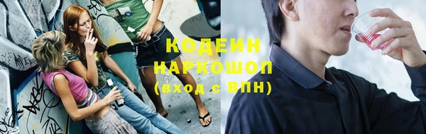 прущие грибы Михайлов