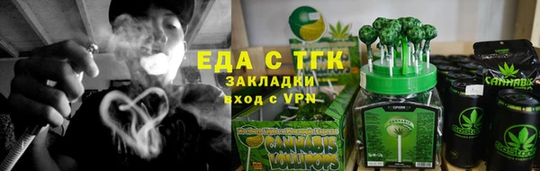 хмурый Мегион