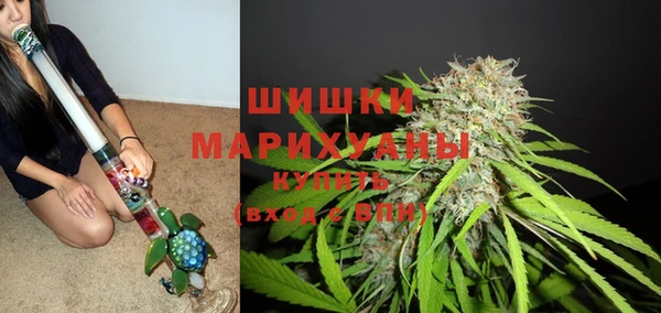 твердый Медногорск