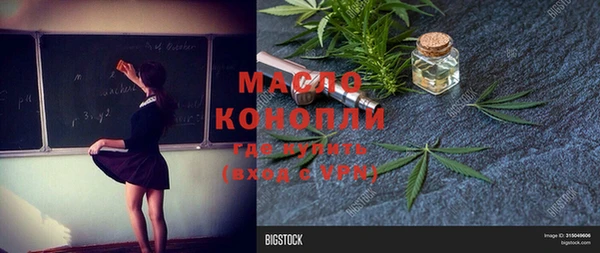 хмурый Мегион