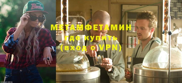 прущие грибы Михайлов