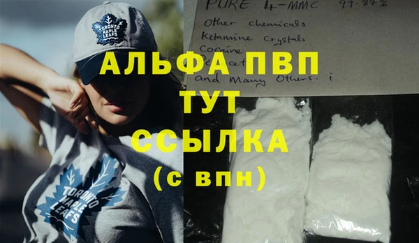 прущие грибы Михайлов