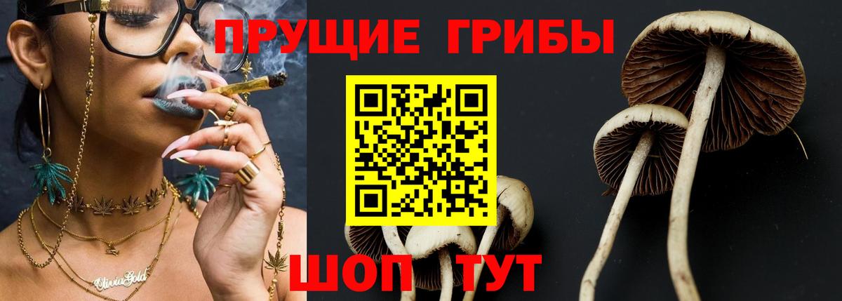 Псилоцибиновые грибы Magic Shrooms Кирово-Чепецк